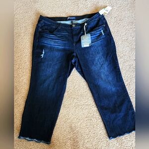 Democracy "Ab" solution High Rise Jeans